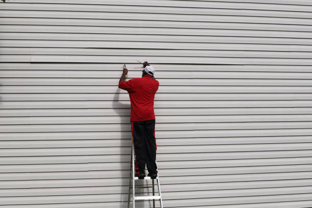 Best Siding Removal and Disposal  in Lakeland, TN